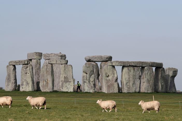 Sheep graze in front of southern England's Stonehenge in April. Scientists say they've determined some of the structure's sandstone megaliths came from 15 miles away.