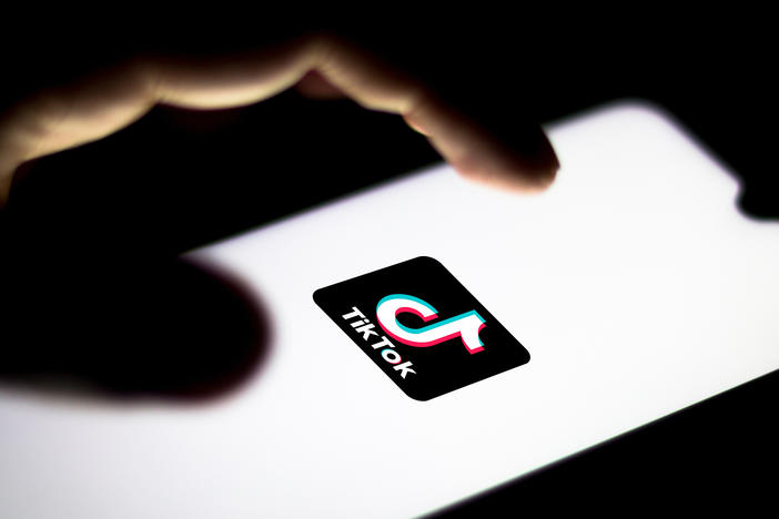 TikTok has been under fire in Washington. The Trump administration and some Democrats in Congress have been raising national security concerns about the Chinese-owned app.