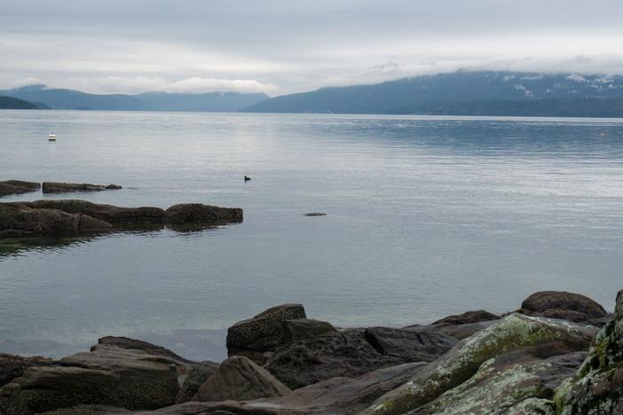 View of the waterfront from Vancouver Island, British Columbia, Canada on January 20, 2020. The number of American pleasure craft arriving from Washington state has alarmed Canadians living just across the border.