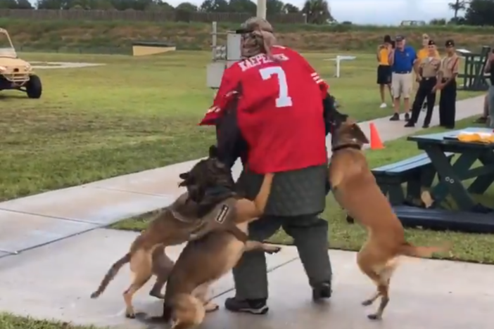 A screenshot of a video posted on Twitter by Billy Corben shows a K-9 demonstration with a man wearing a Colin Kaepernick jersey.