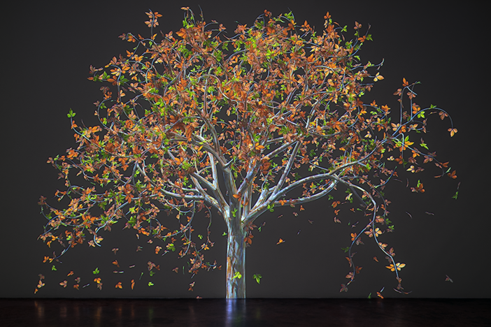 In Jennifer Steinkamp's digital animations, trees gradually change color, lose leaves, sprout new leaves, grow flowers, and drop petals to the ground. She's done a series of such trees in honor of teachers who've had a profound influence on her.