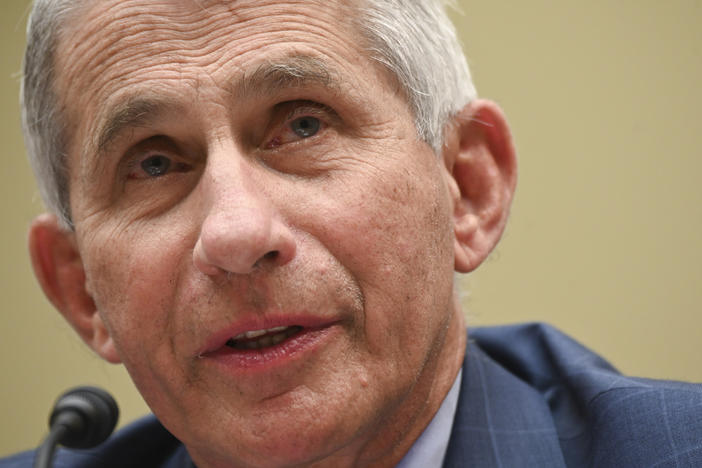 Dr. Anthony Fauci testifies last week in a House subcommittee hearing on the coronavirus. In an online forum Wednesday hosted by Harvard University, he shared that he has received death threats.