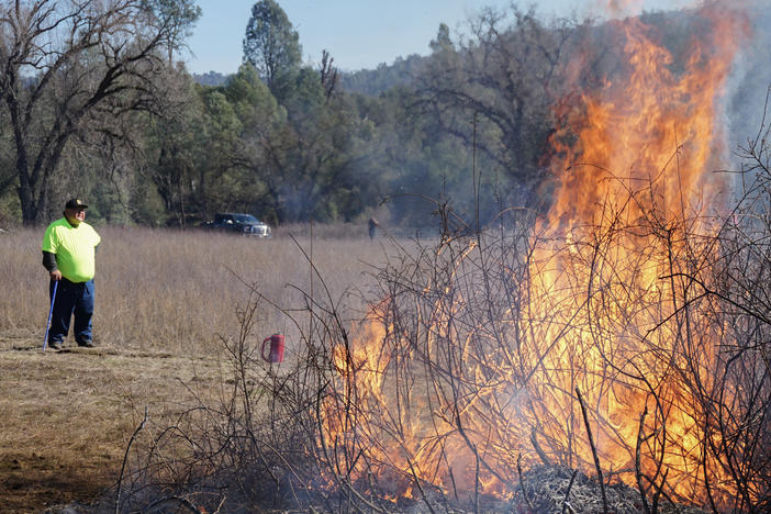 Goode looks on as sourberry bushes burn. After the bushes are burned in the winter, they sprout again in the spring.