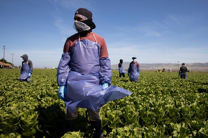 With the coronavirus spreading, farms try to keep workers like these in Greenfield, Calif. safe through physical distancing and other measures but advocates for laborers say protections are often not adequate.