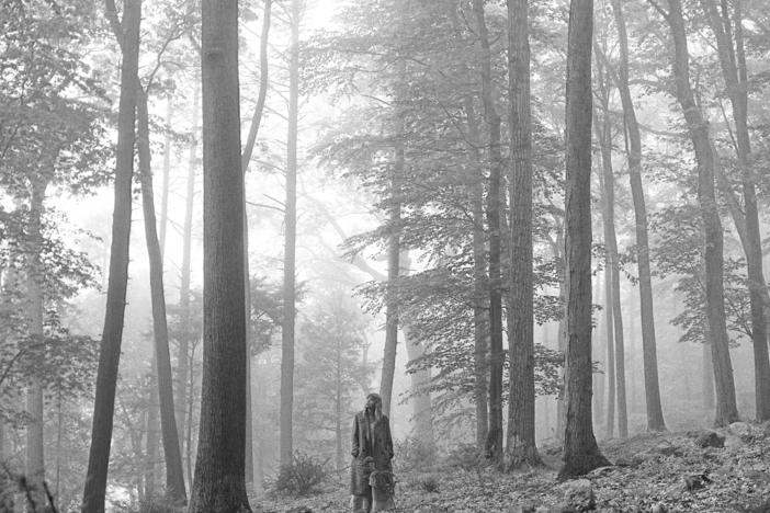 The woodsy cover image of Taylor Swift's new album <em>Folklore </em>evokes cottagecore.