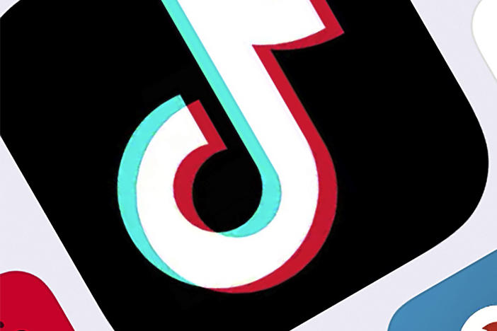 TikTok has filed a federal lawsuit against the Trump administration after the White House issued an executive order that would effectively ban the hugely popular app from operating in the United States.