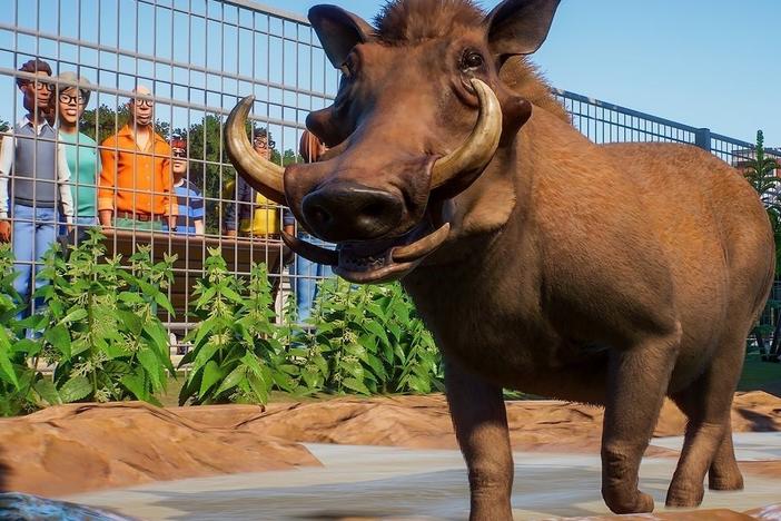 Your animals will demand your attention in <em>Planet Zoo</em>, just one of several simulation games that might distract you from quarantine.