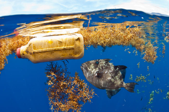 In addition to large plastic trash, researchers estimate that more than 21 million metric tons of tiny plastic debris are floating below the Atlantic Ocean's surface.