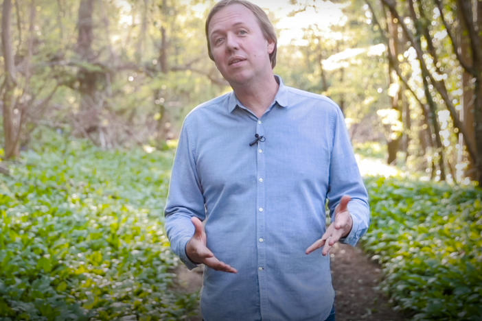 Tom Rivett-Carnac delivers his TED talk in the woods near his home in the UK.