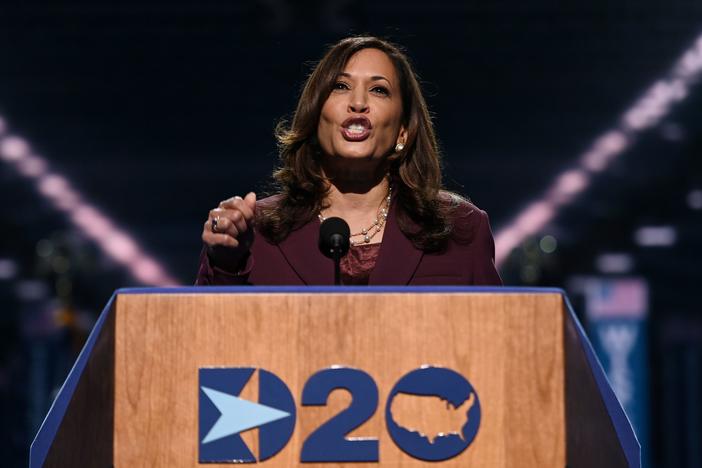 Democratic vice presidential nominee Kamala Harris speaks during the third day of the Democratic National Convention.