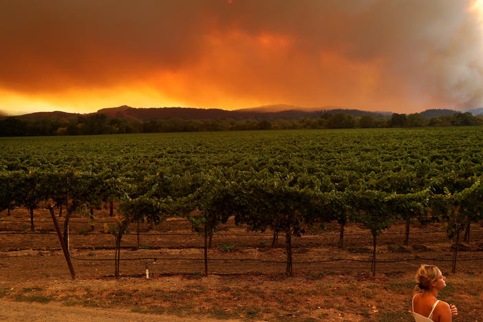 A local resident stands next to a vineyard while watching the LNU Lightning Complex fire burning in nearby hills on August 20 in Healdsburg, Calif.