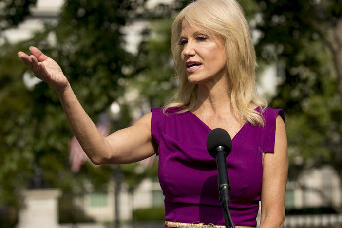 Counselor to the president Kellyanne Conway speaks to reporters outside the West Wing of the White House in Washington, D.C., earlier this month.