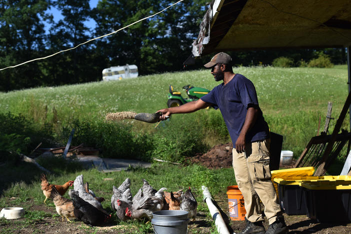 Daryl Minton, 45, throws chicken feed into a yard where the chickens roam at the Triple J Farm in Windsor, N.Y. Minton lives and works on the farm his grandfather, James Minton, bought it a decade ago. Between lending discrimination and rising costs, many obstacles stand in the way of Black Americans looking to own farmland.