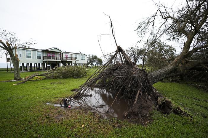 A tree is uprooted in the aftermath of Hurricane Laura Thursday in Sabine Pass, Texas.