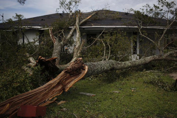 A fallen tree limb in the front yard of a house in Lake Charles, La., after Hurricane Laura made landfall on Thursday.