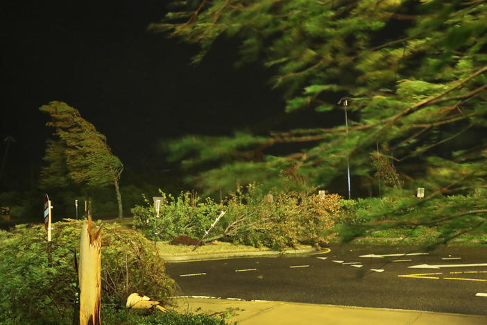 Hurricane Laura blows trees near the Golden Nugget Hotel in Lake Charles, La., as it comes ashore early Thursday. The storm is blamed for four deaths, all caused by trees falling on homes.