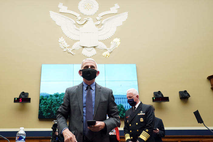 Dr. Anthony Fauci, director of the U.S. National Institute of Allergy and Infectious Diseases; and Adm. Brett P. Giroir, U.S. Assistant Secretary for Health, testified before Congress in June on the status of the pandemic. Fauci is just one of the public health leaders and their families across the U.S. who have received death threats and harassment since the pandemic began.