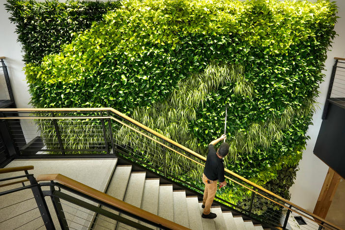 Architects say making the office more like the outdoors — with filtered air and good ventilation — will be a priority post-pandemic. This living wall in the Danielle N. Ripich Commons at the University of New England in Biddeford, Maine, is one such approach.