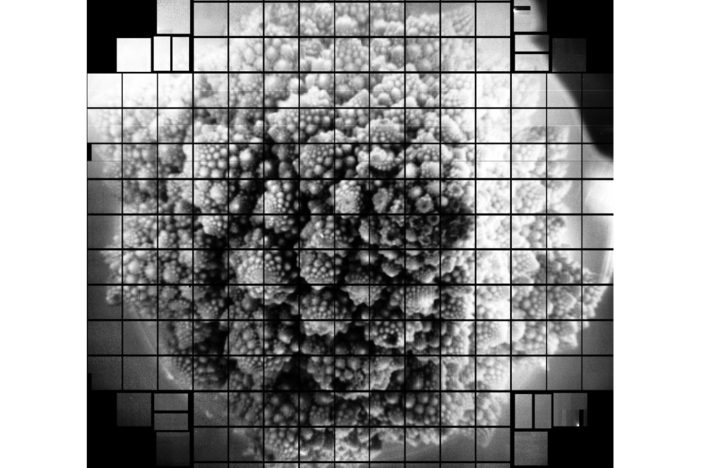 Romanesco broccoli, as seen by a 3.2 billion pixel camera. Scientists chose to take a picture of the broccoli because of its fractal shape.