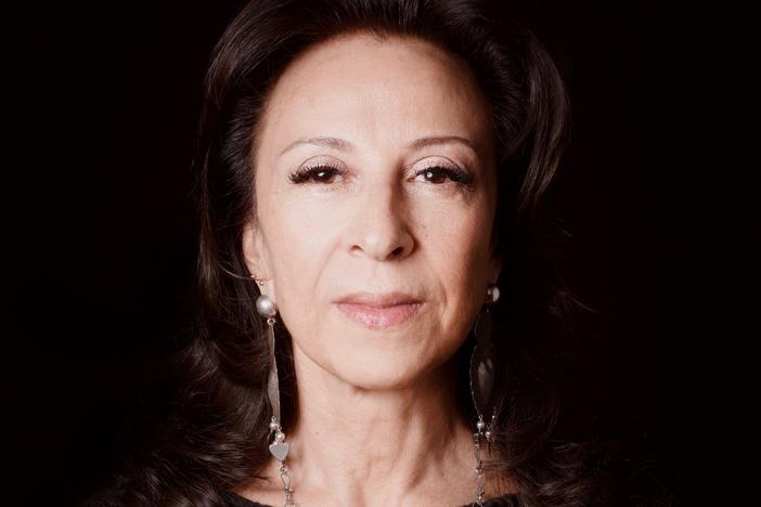 "We all have to work at making the immigrant story much more public," said Maria Hinojosa, author of a new memoir,<em> Once I Was You: A Memoir of Love and Hate in a Torn America</em>.