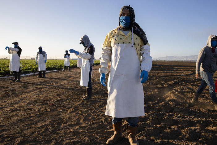 Before massive wildfires broke out in California, farmworkers already had to take extra precautions for COVID-19. Now they must worry about dangerous air from wildfires. In this photo, farmworkers arrive early in the morning to begin harvesting on April 28 in Greenfield, Calif.