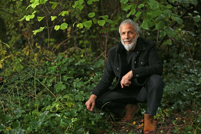 Yusuf's <em>Tea for the Tillerman 2</em> is a reimagining of his 1970 album as Cat Stevens.