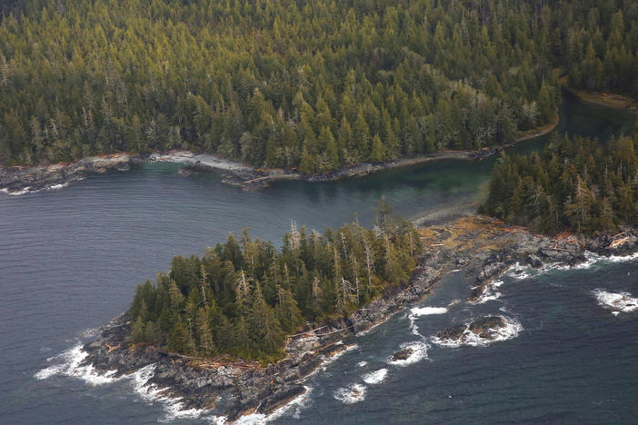 The Tongass National Forest, near Ketchikan, Alaska. The Trump Administration is set to remove long-standing protections against logging and development in the forest.