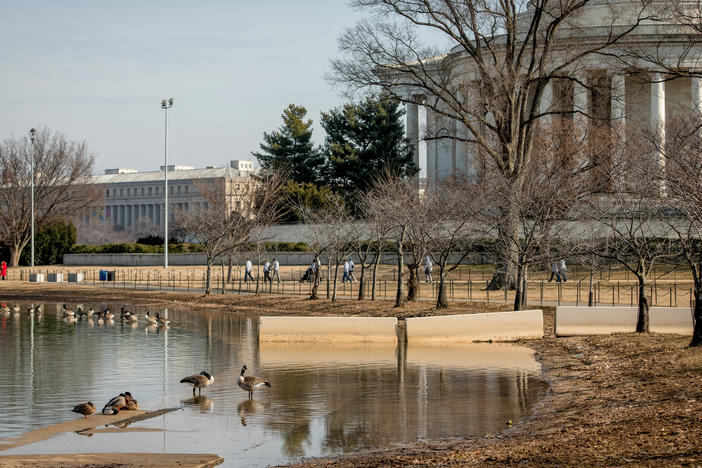 Increased car and foot traffic coupled with rising sea levels have driven parts of the Tidal Basin area underwater.