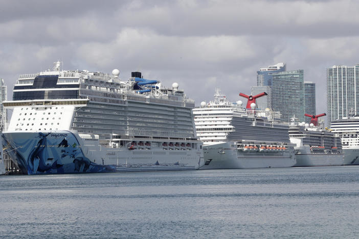 Cruise ships are docked at the Port of Miami in the spring. The Centers for Disease Control and Prevention suspended cruises from U.S. ports in March after coronavirus outbreaks on a number of ships.