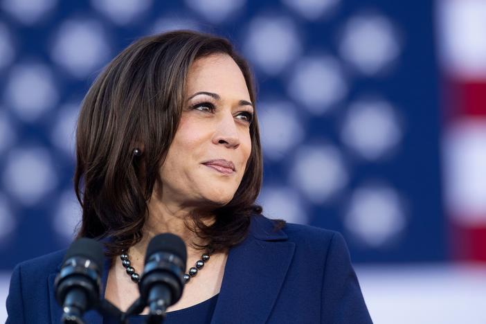 Vice President-elect Kamala Harris is the first woman, the first Black person and the first Asian American elected to the second highest office in the United States.
