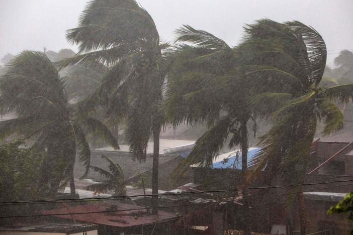 Palm trees blow in the wind as Hurricane Eta nears landfall in Bilwi, Puerto Cabezas, Nicaragua, on Tuesday.