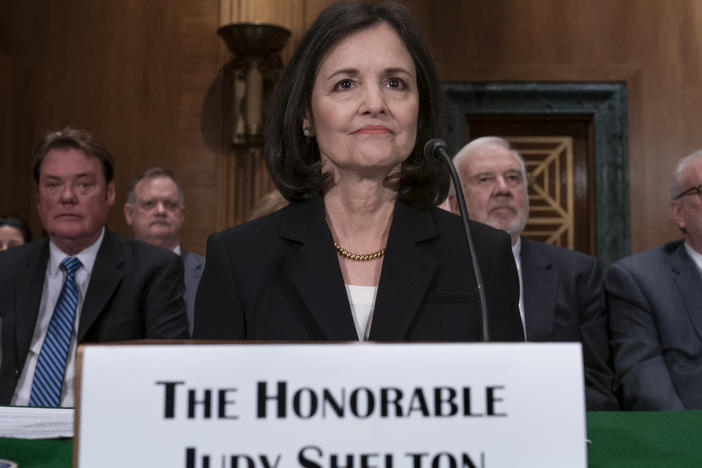 Judy Shelton appears before the Senate Banking, Housing, and Urban Affairs Committee in February. President Trump's nominee to the Federal Reserve has said she supports the gold standard and has questioned the mission of the central bank.