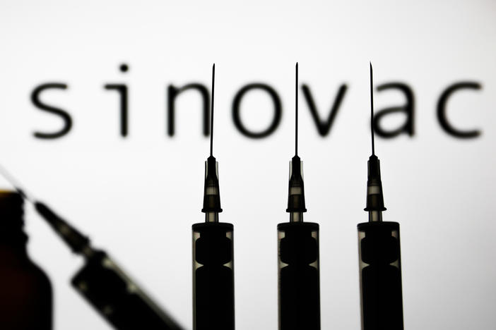 Sinovac has released data about early clinical trials of its vaccine against the coronavirus.