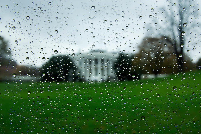 President Trump's loss to Joe Biden has made it difficult for Republicans to celebrate victories down ballot, while Democrats have been stung by the failure to meet expectations created by polling that suggested a blue tsunami.