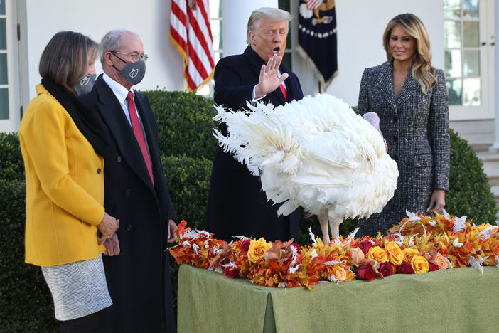 First lady Melania Trump watches as President Trump gives the turkey Corn a presidential pardon outside the White House on Tuesday.
