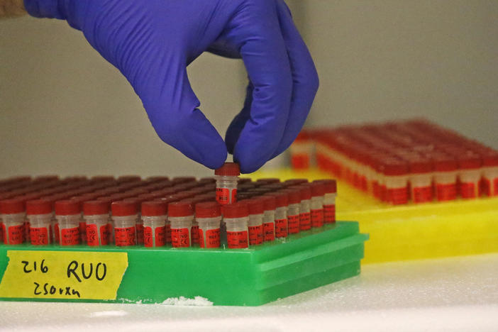 A lab technician for the company Co-Diagnostics prepares components for a coronavirus test in March in Salt Lake City. The company has come under scrutiny regarding its tests' accuracy and stock sales by leadership at the company.