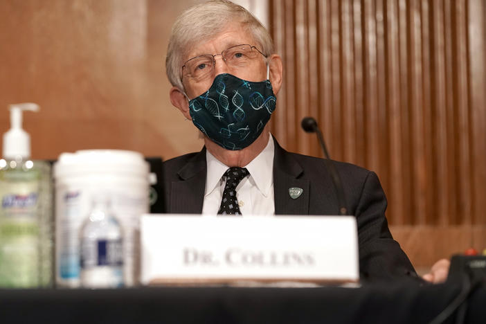 Dr. Francis Collins, director of the National Institutes of Health, listens during a Senate committee hearing in September. Collins told NPR that scientists from the Food and Drug Administration have been closely analyzing data from vaccine trials to determine safety.