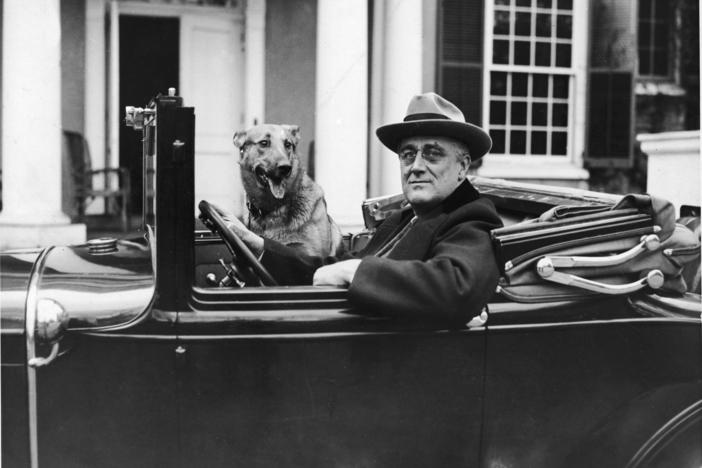 Portrait of American President Franklin Delano Roosevelt (1882 - 1945) sitting behind the wheel of his car outside his home in Hyde Park, New York in the mid 1930s.