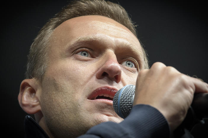 A joint investigation by Bellingcat and other media outlets found evidence that Russian opposition leader Alexei Navalny was trailed by Russian spy agents for years before he was poisoned in August.