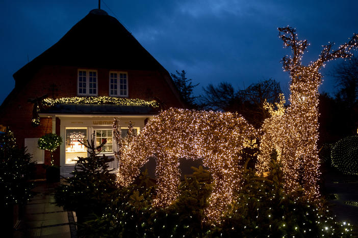 With countless lights, Christmassy illuminated man-high trees and reindeer decorate the entrance of a shop