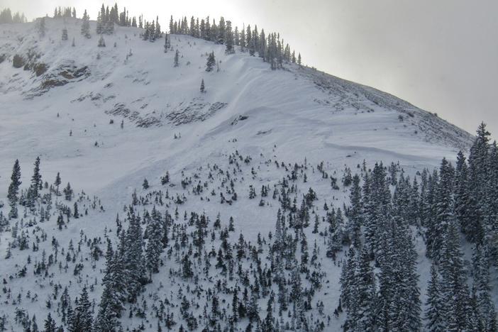 A skier was killed on Friday when he was buried in an avalanche in Colorado's Anthracite Range. The crown of the avalanche was on the right, below the rocky ridge. The debris washed through the trees below.