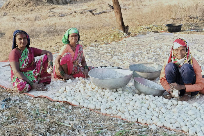 Field hockey star Sarita Bhise (right) with her mother (far left) and maternal aunt, cleaning onions they've harvested on the family farm.