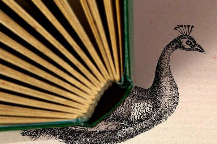 <em>The Liar's Dictionary</em>, by Eley Williams