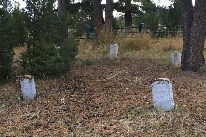 A Utah man has pleaded guilty after authorities said he was caught digging in Fort Yellowstone Cemetery, in Yellowstone National Park, Wyo., in search of hidden treasure.