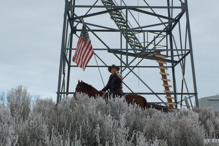 In January 2016, armed militants led by Ammon Bundy, seized the Malheur National Wildlife Refuge in Oregon in an attempt to control US public lands.