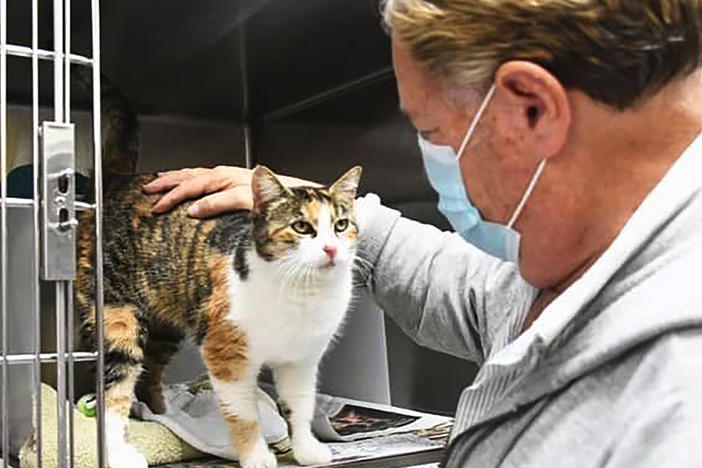 Patches is reunited with Norm Borgatello, her late owner's partner, at the Animal Shelter Assistance Program in Santa Barbara County, Calif., on Dec. 31.