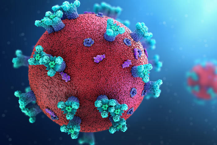 Researchers are making progress in understanding the human immune response to SARS-CoV-2, the virus that causes COVID-19, and the vaccine to prevent the disease.