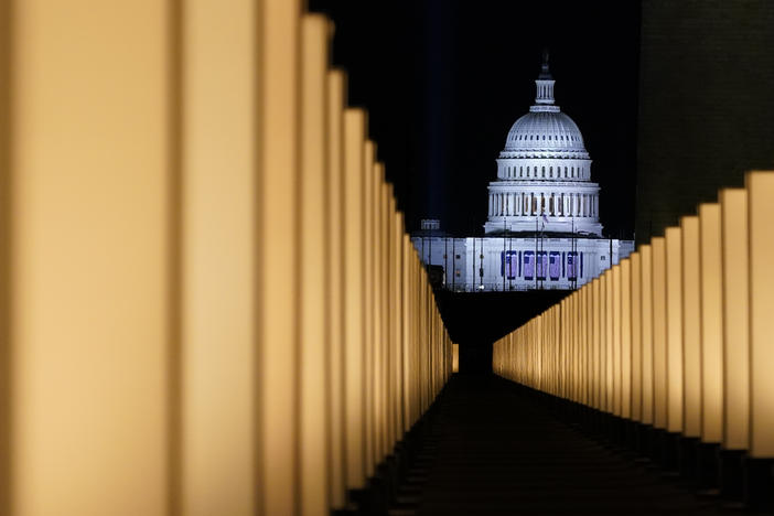 Lights placed as a memorial to COVID-19 victims surround the Lincoln Memorial Reflecting Pool on Jan. 19. Some economists believe deaths tied to alcohol use, drug use and suicides have risen during the pandemic as the isolation felt by many has taken an emotional toll.