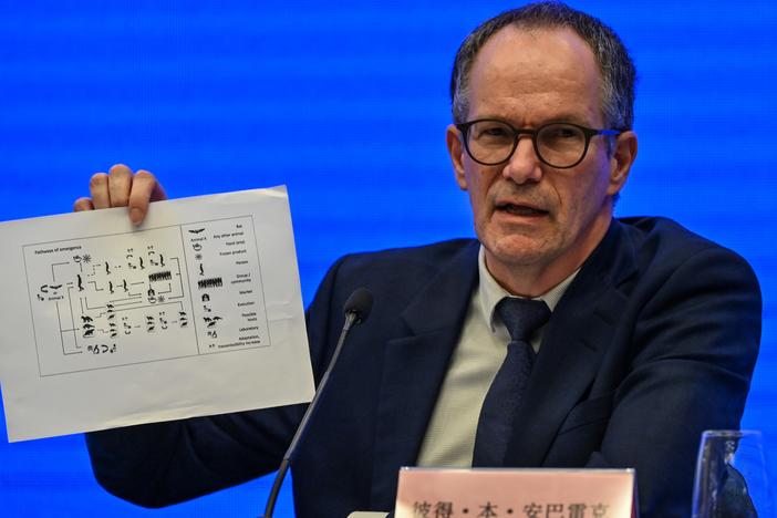 Peter Ben Embarek speaks during a news conference to wrap up a visit by an international team of experts from the World Health Organization in the city of Wuhan, China, on Tuesday.