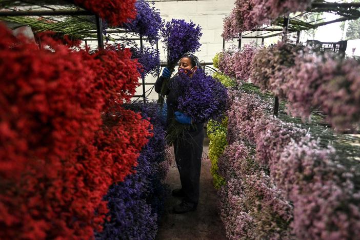 An employee places bouquets on shelves in Bogotá on Feb. 1, as Colombia prepares to export flowers for Valentine's Day amid the new coronavirus pandemic.